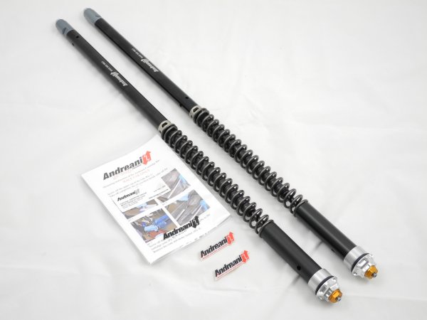 ANDREANI Cartridge für MOTO GUZZI DAYTONA 1000, 1100 SPORT Vergaser